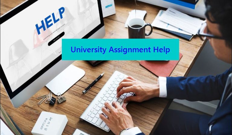 University Assignment Help
