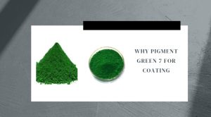 Can I Use Pigment Ink Instead Of Dye? 3 Pigment Green 7 Pigment Ink Instead and Dye