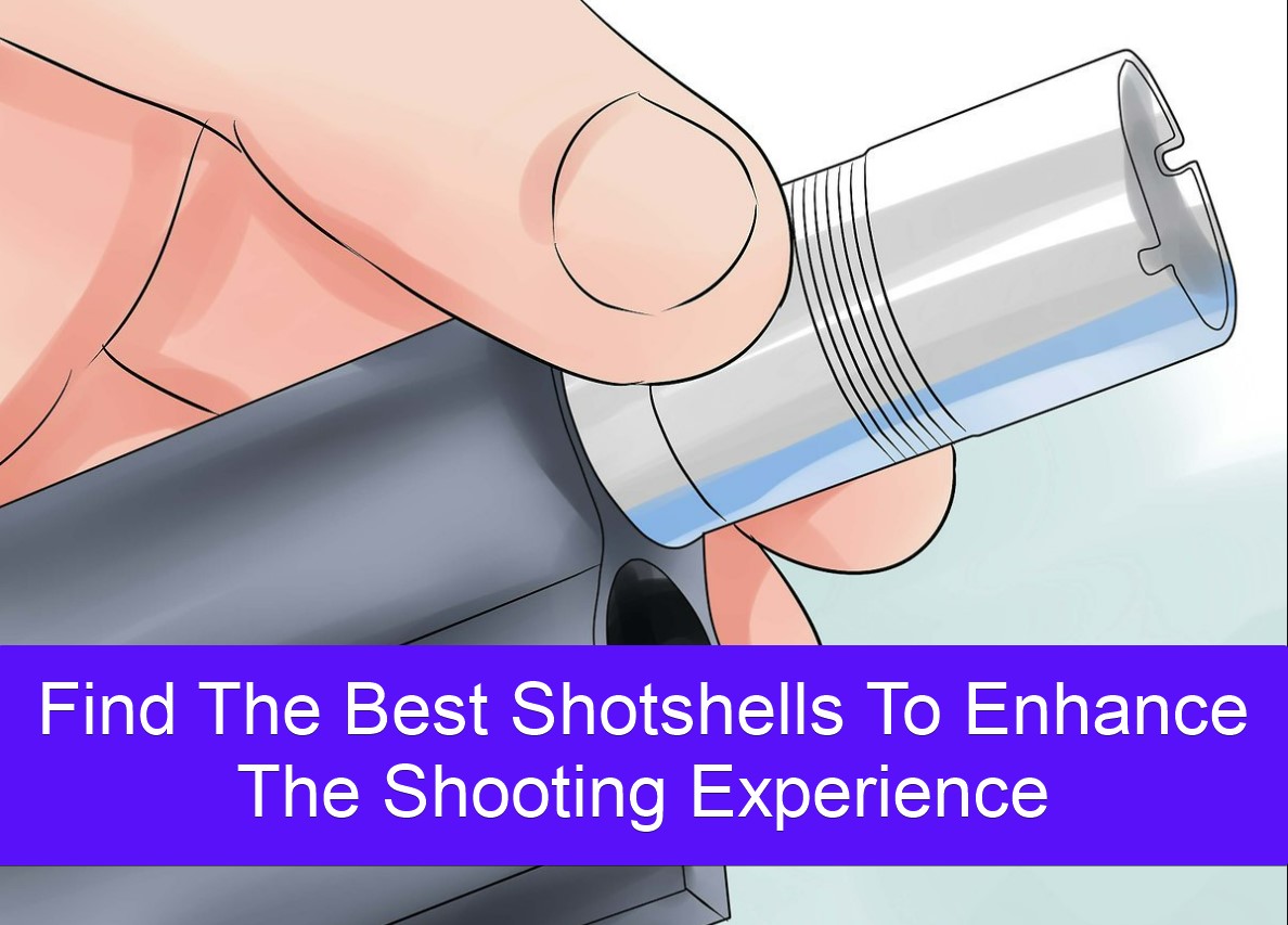 Find The Best Shotshells