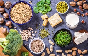 Plant Based Diet of Zinc