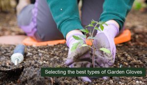 types of Garden Gloves