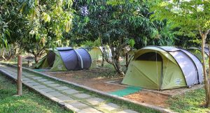 best tour from Bangalore Dandeli Camps