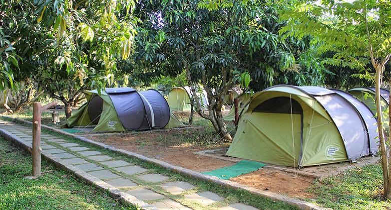 best tour from Bangalore Dandeli Camps