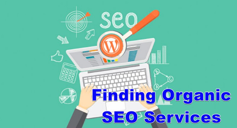 Finding Organic SEO Services