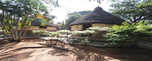 Jain Farm - Rural Farm Experience Near Bangalore 