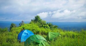 Wayanad visit place in india