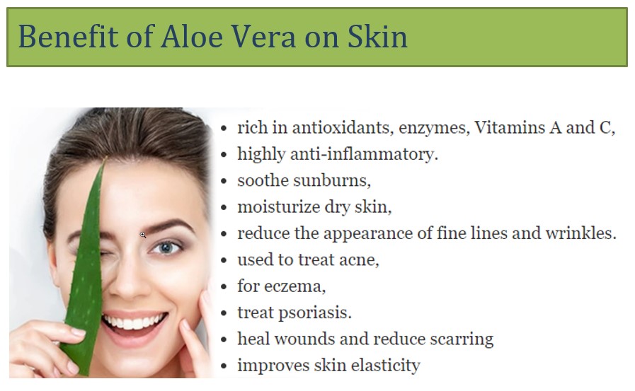 Benefit of aloe vera on skin