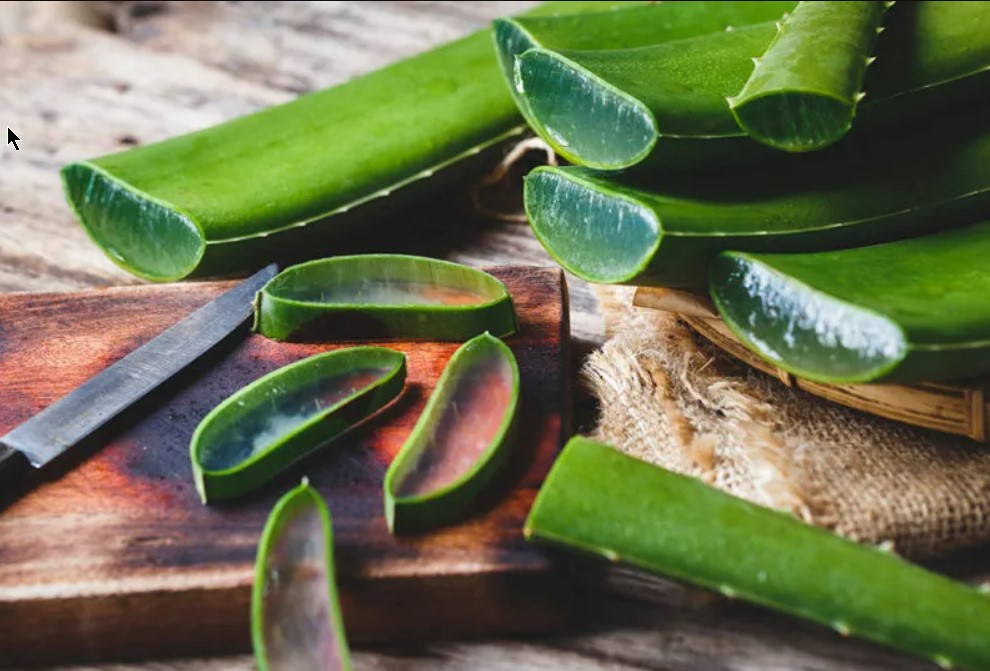 What are Benefit of Aloe Vera