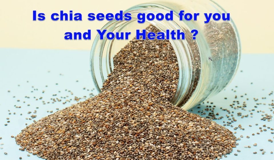 chia seeds good for you