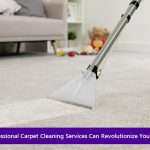Carpet Cleaning Services
