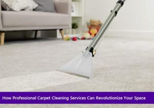 Carpet Cleaning Services