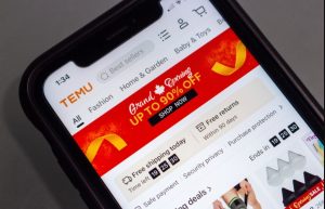 free Stuff On Temu
