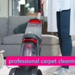 professional carpet cleaning services