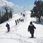 Nag Tibba vs. Pangarchulla Peak