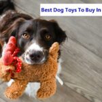Best Dog Toys To Buy In Bulk
