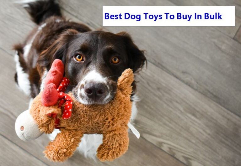 Best Dog Toys To Buy In Bulk