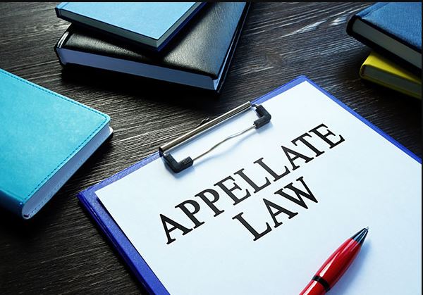 Guide to Top Federal Appellate Law Firms