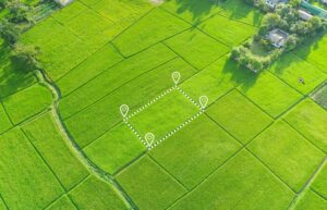 buy open plots and invest in land