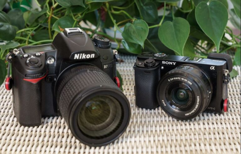DSLR And Mirrorless Cameras