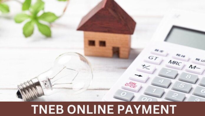 TNEB Online payment