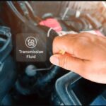 Transmission Fluid