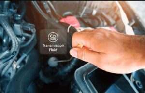 Transmission Fluid