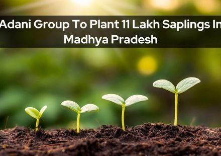 Adani Group To Plant 11 Lakh Saplings In Madhya Pradesh image