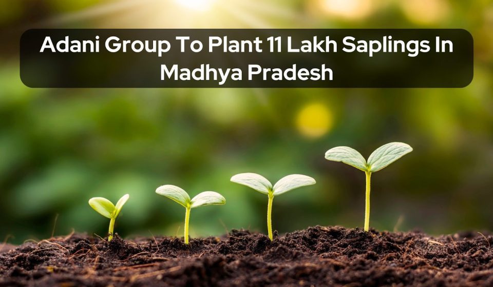 Adani Group To Plant 11 Lakh Saplings In Madhya Pradesh image