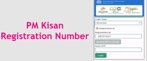 PM Kisan Registration Number