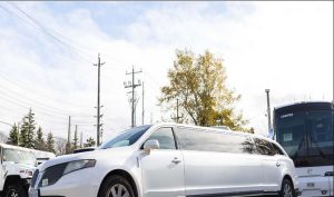 Celebrate in a Rented Stretch Limo