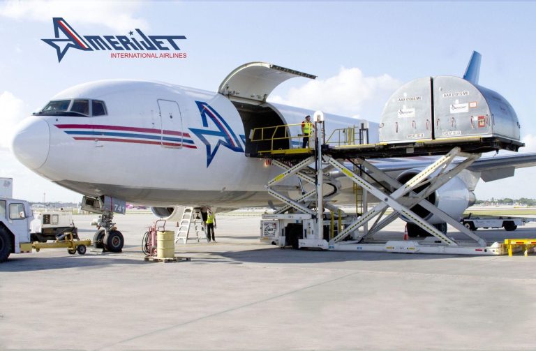 Pet Shipping Safety and Comfort Tips