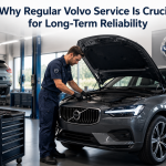Regular Volvo Service
