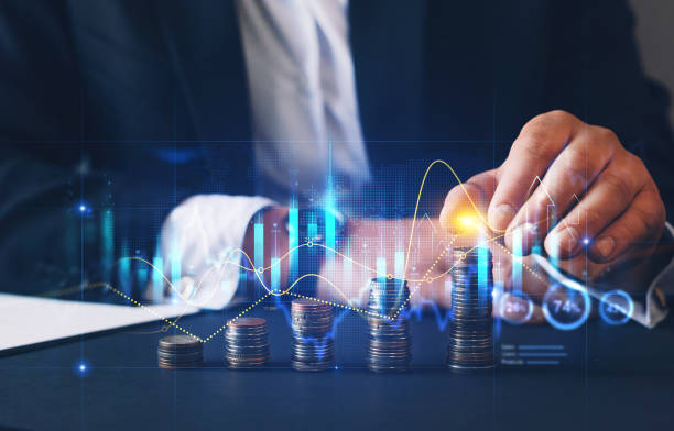 Long-Term Success in the Digital Economy 