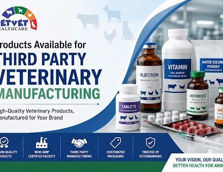 Petvet Healthcare