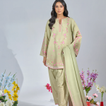 Pakistani ladies clothes