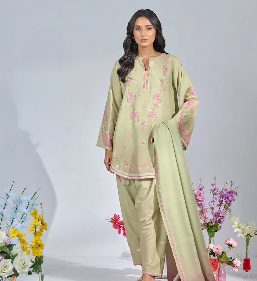 Pakistani ladies clothes
