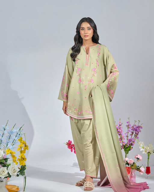 Pakistani ladies clothes